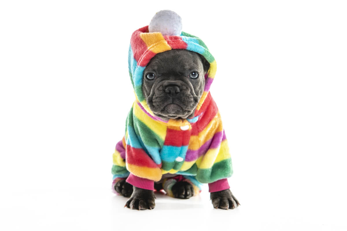 Yuppy Puppy Flannel Nightwear main image 1